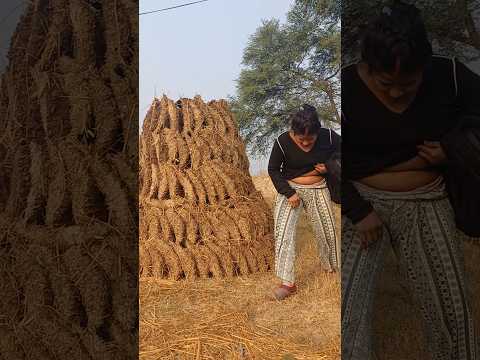 #shorts #shortvideo #viralvideo #youtubeshorts