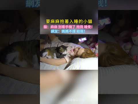 要麻麻抱著睡覺入睡的小貓🐱    貓：麻麻 別看手機了 抱我 睡覺覺💖~ 網友：不抱 我抱💖！ #cat  #cute #shorts #healing #cutecat