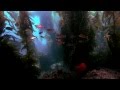 Ocean Science and Climate Change