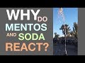 Mentos and Soda Reaction Concepts