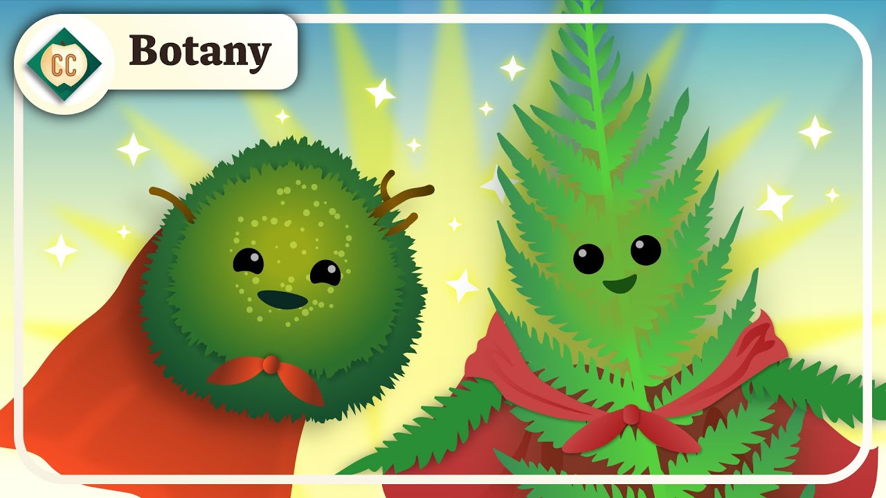 Real Heroes Lie Low: Bryophytes & Seedless Vascular Plants: Crash Course Botany #8