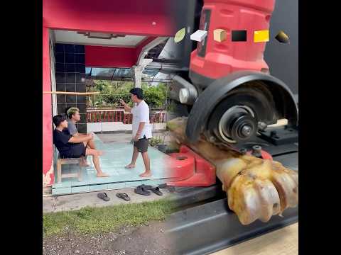 Kalian waktu kecil pernah ledek ledekan gini juga ga si,yang tengah anak monyet #shorts #lucu #kocak