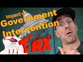 Exploring Government Intervention in Market Structures