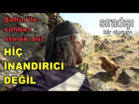 ŞAHİN İLE SOHBET ETMEK Mİ?/Hiç inandırıcı değil