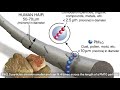 Understanding Air Pollution and Particles
