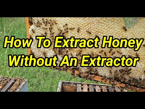 How To Extract Honey Without An Extractor