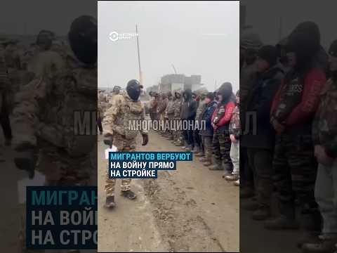 Ни один из мигрантов не согласился подписать военный контракт. Вербовка на войну
