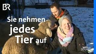 Neues Heim für ungewollte Tiere: Tierretter vom Marktbergel | Gnadenhof | Wir in Bayern | BR
