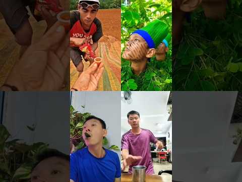 Bird sounds"🐦🐦 #entertainment #forestbirds #nature #birdsounds #shorts #birds