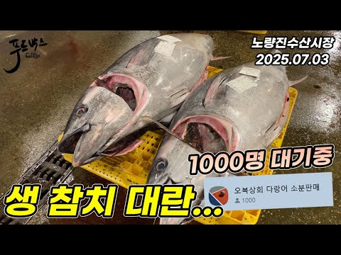 대기인원만 1000명... 진짜 쌩참치 대란..  오랜만에 가성비 좋은 블루킹크랩  순삭 완판~ 미리 알아야 싸게 먹지!!!