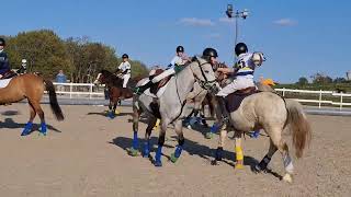 Minimes shetland vs jardy 15 mars 2026