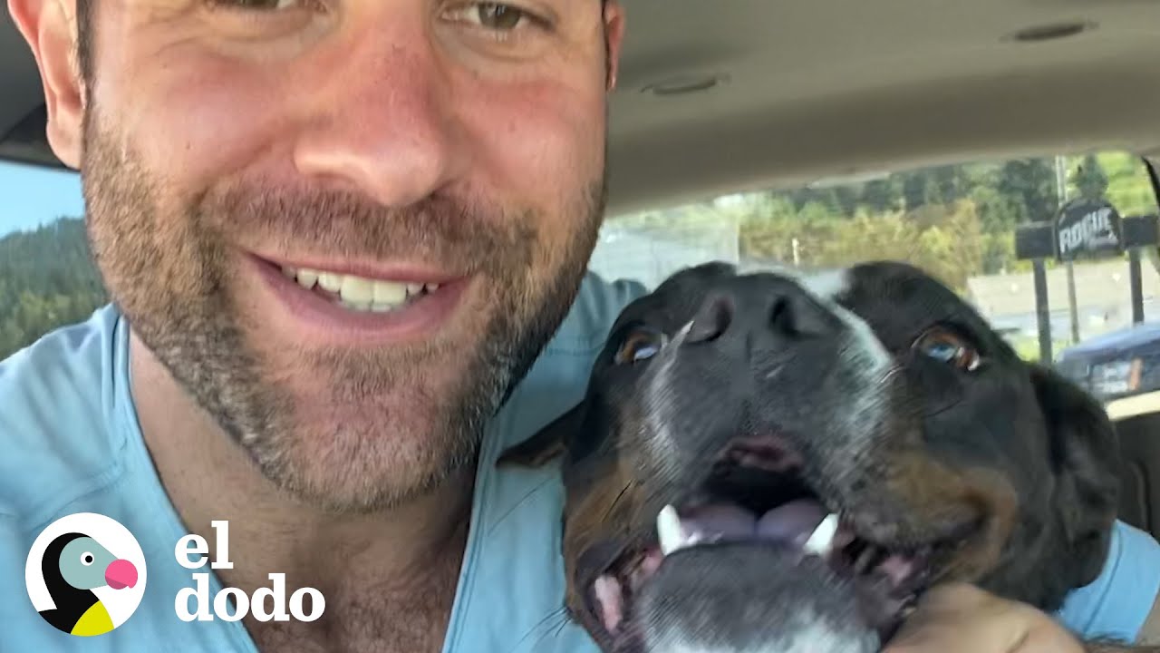 Papá de paso queda enamorado de el perro que decidió acoger