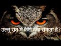 आंखों की संरचना और दृष्टि