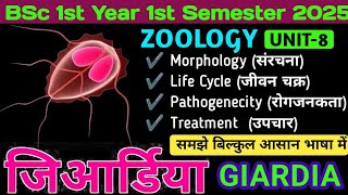 Giardia BSc 1st Year in Hindi//Giardia Life Cycle in Hindi//Giardia Morphology//GIARDIA Lamblia 