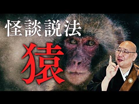 【怪談説法】「猿」