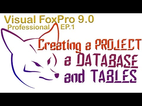 microsoft visual foxpro 9.0 tutorial