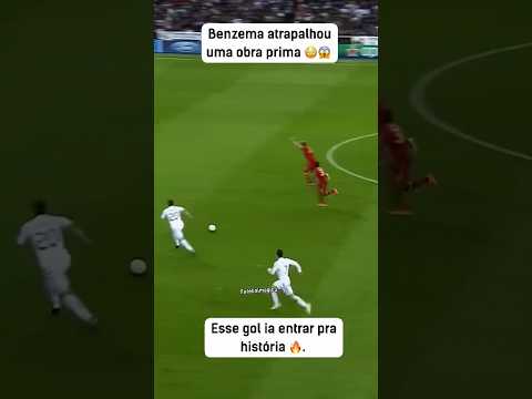 Foi culpa de quem?