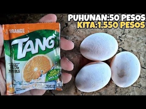 GAWIN mo ito sa ITLOG at TANG ORANGE tiyak KIKITA ka ng MALAKI dito sa 50 PESOS na PUHUNAN lang!