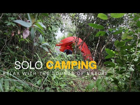 SOLO CAMPING In The Forest, Relax With The Sounds of Nature - ASMR