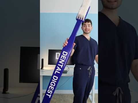 Which Toothbrush Do You Want!?