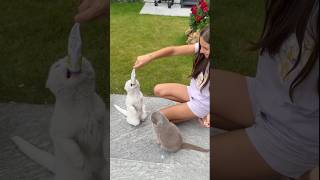 Kedilerimize Kavuştuk 🐾