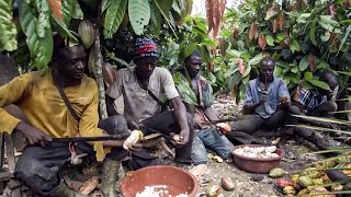 YouTube video thumbnail: Chocolate, Heart of Darkness