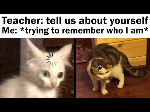 Daily Juicy Memes 2209