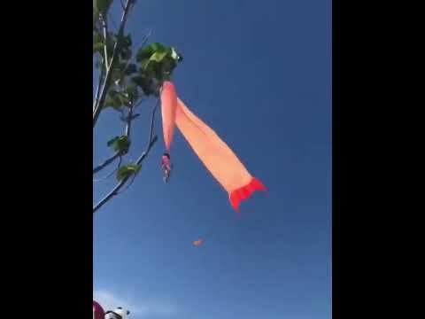 Девочка взлетела в небо вместе со змеем! Жуткие кадры.