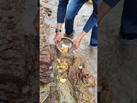 DISCOVERING A HUGE TREASURE OF GOLD | GOLD MINE