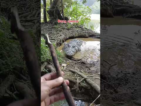 SERGAPAN BUAYA PREDATOR