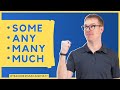 Understanding Quantifiers in English