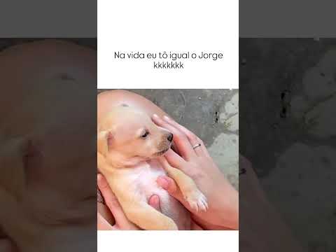 Na vida eu to igual o Jorginho