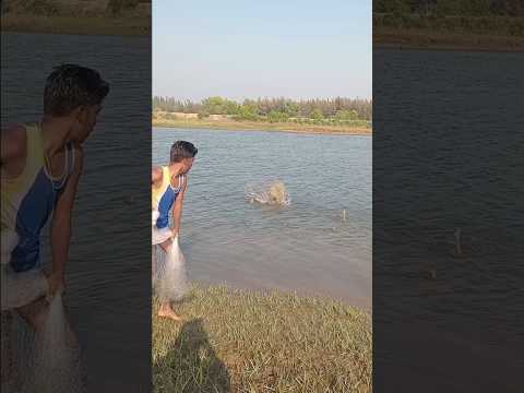 #netsfishing #video #amazingfishing #villagelife #fishingtips #big # fish #video #shorts 🦈🦈🦈🦈🦈🦈🦈