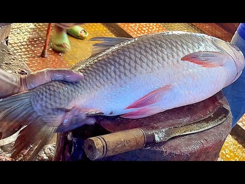 Fish Cutting Skills || Amazing Giant Rohu Fish Cleaning & Cutting By Expert Fish Cutter ||