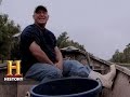 Gator Capture and Community Reactions