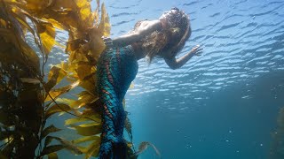 CHANNEL ISLANDS EXPEDITION