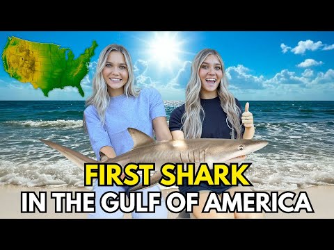 Sharks are taking over Gulf of America! Twins surf fish!