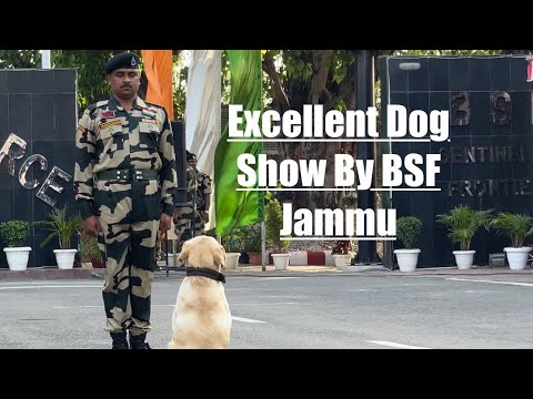 Excellent Dog Show Performance By BSF Jammu || 15 August Special Video #dog