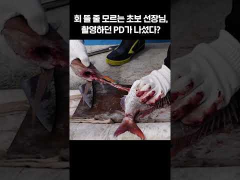회 뜰 줄 모르는 초보 선장님.. 촬영하던 PD가 나섰다? #낚시