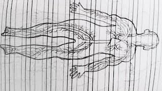 Circulatory system diagram ✨😊✏️#respiratorysystem