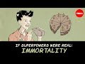 Exploring the Concept of Immortality
