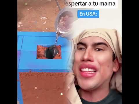 #foryou #humor #funny #viralvideo #tiktok #comedy #fyp