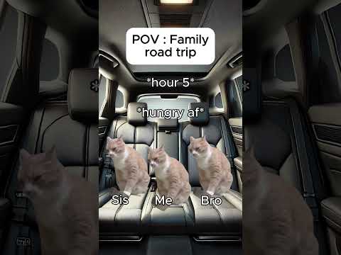Cat memes 🐱 Family road trip #catmemes #relatable #cat #catshorts #shorts #family #roadtrip