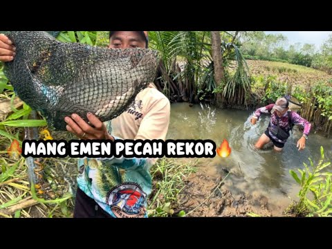 BABON MANG EMEN PEMECAH REKOR ll Kompilasi Video Mancing Pusanggala #pusanggala
