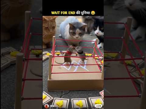 Animals Ke Gajab Karname-70 ๐ Wait for twist ๐#funny #shorts