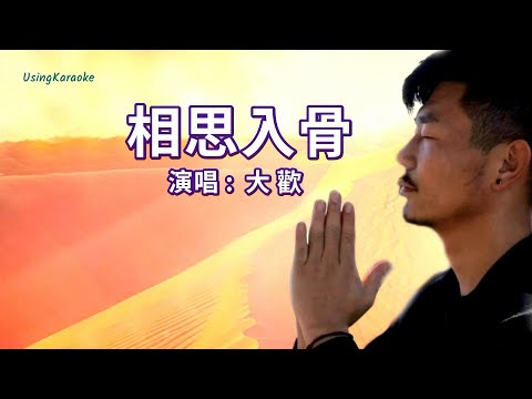 相思入骨-大歡-伴奏 KARAOKE