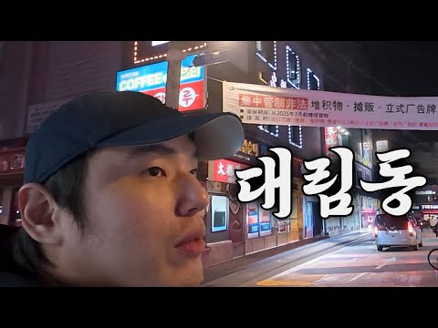 한국 속의 중국, 대림동 브이로그