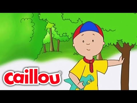 Caillou'nun Ağacı | Caillou Türkçe - WildBrain | Çocuklar İçin Filmler