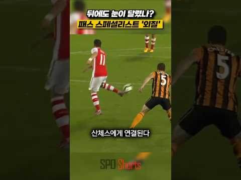 뒤에도 눈이 달렸나? 패스 스페셜리스트 '외질'