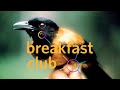 Exploring Poisonous Birds and Master Birding